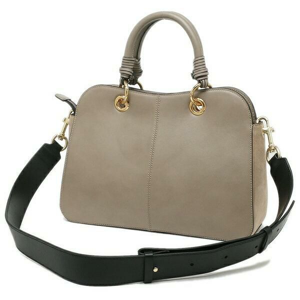 シーバイクロエ ハンドバッグ ショルダーバッグ ティルダ Mサイズ 2WAYバッグ レディース SEE BY CHLOE CHS20SSA47695 詳細画像