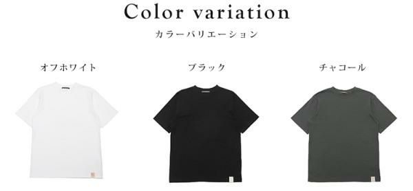 サスティ Tシャツ メンズ シーアイランドコットン SASTY 291233 詳細画像