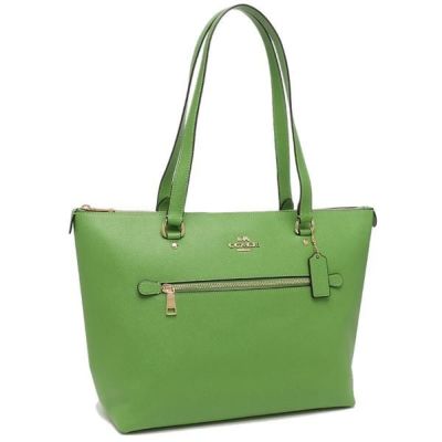 コーチ トートバッグ COACH 5696 IME74 コーチ トートバッグ アウトレット シグネチャー ベージュ