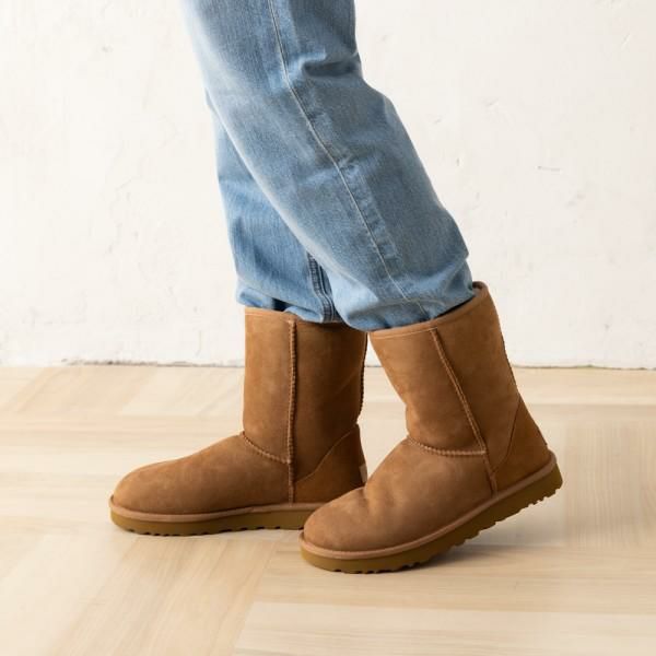 アグ ブーツ クラシック ショート ブラウン レディース UGG 1016223 CHE 7(約24.0cm)