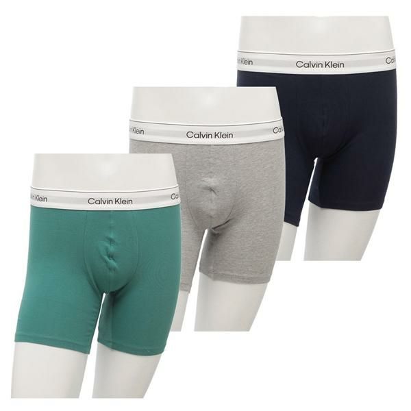 カルバンクライン インナー ボクサーブリーフ 3枚セット アンダーウエア 下着 グリーン グレー メンズ CALVIN KLEIN NB4394 310 2025春夏新作 M カルバンクライン インナー ボクサーブリーフ 3枚セット アンダーウエア 下着 グリーン グレー メンズ CALVIN KLEIN NB4394 310 2025春夏新作 M