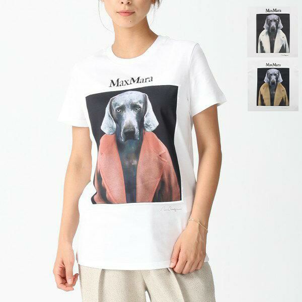 MAX MARA 国内正規 ウィリアム ウェグマンコラボ テディTシャツ L 