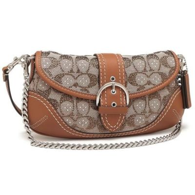 コーチ ボディバッグ ウエストポーチ レディース COACH F48738 | AXES