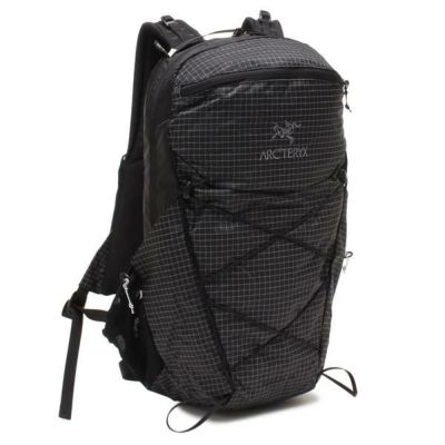 フォンダシオン ルイヴィトン トートバッグ グレー メンズ レディース